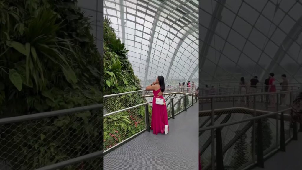 Travel blog🇸🇬#2024shorts #travel #singapore