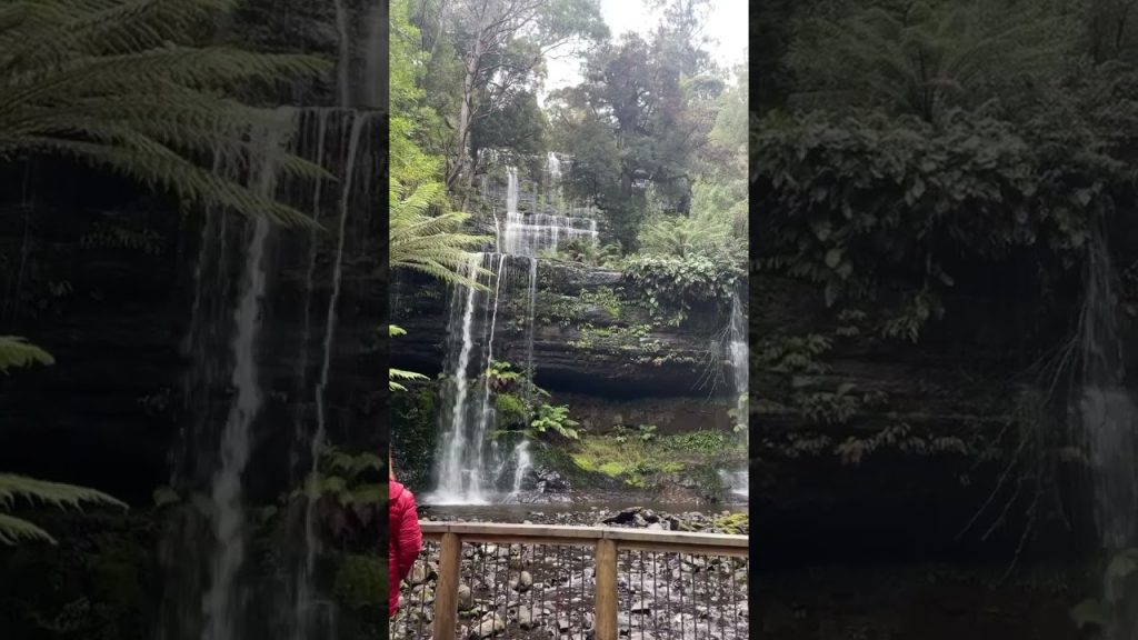 #australia #shortsfeed #shortvideo #travel #nature #viral #foryou #travel #blog #mini