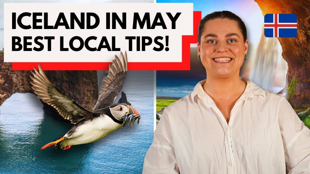 Iceland in May 2025 🇮🇸 Puffin Season, Best Tours for May and Local Insights! 🐧☀️