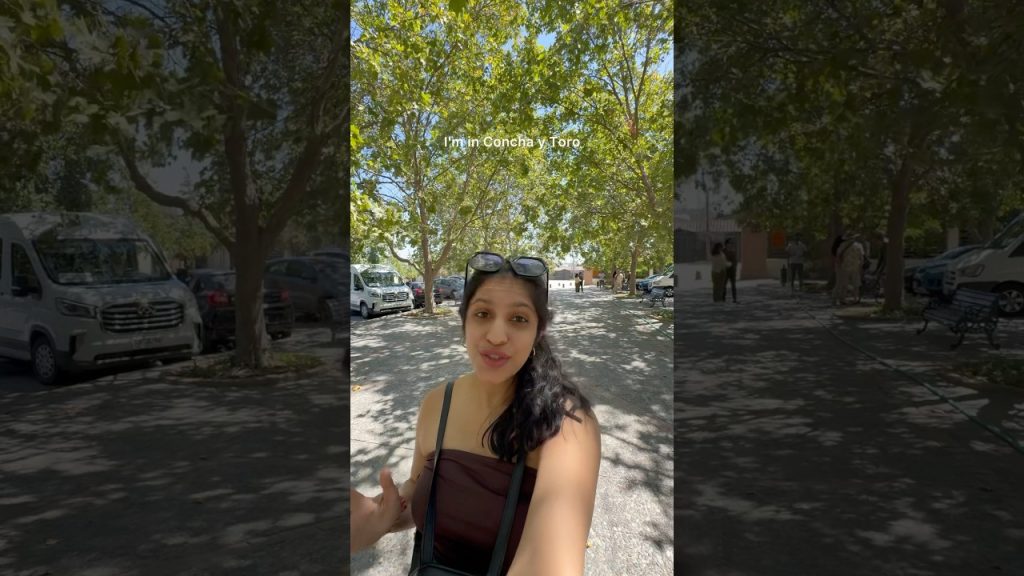 One of the best wine tours in Chile 🍷 #winetourism #winetasting #chile #santiagodechile #travel