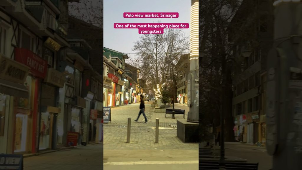 Polo view market, Srinagar #shortsfeed #shorts #youtuber #yt  #travel #blog #youtubeshorts #youtube