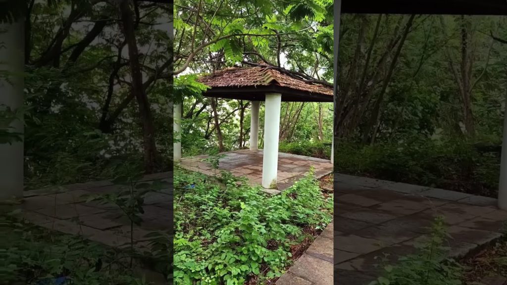 5 Peaceful Places in Hyderabad ❤️ #hyderabad #praveensharma