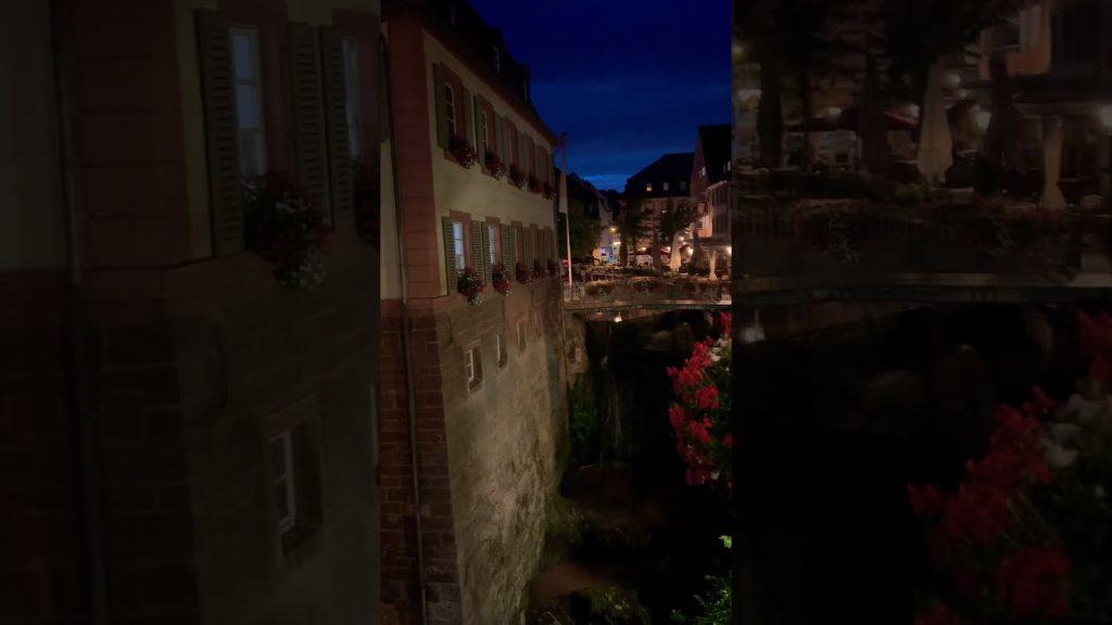 Summer evenings #peace #germany #deutschland #nature #travel #blog #travel #love #music #viral #yt