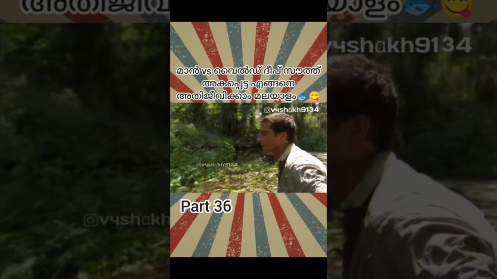 Travel Survival blog 🙀 #shorts #travelblog #diy ithandafun