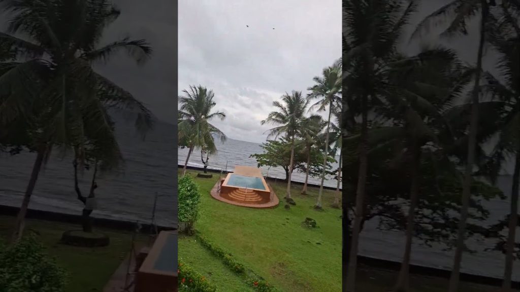 #travel #travelblog #automobile #beach #car #nature #traveldiaries #cat #travelvideos #travelvlogs