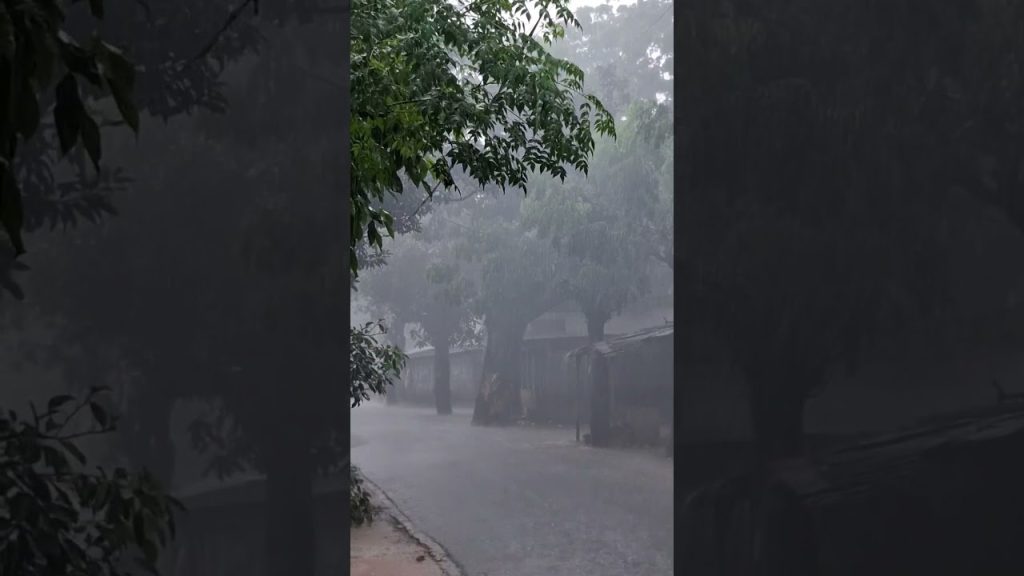 #travel #travelblog #nature #views #vlog #beautiful #song