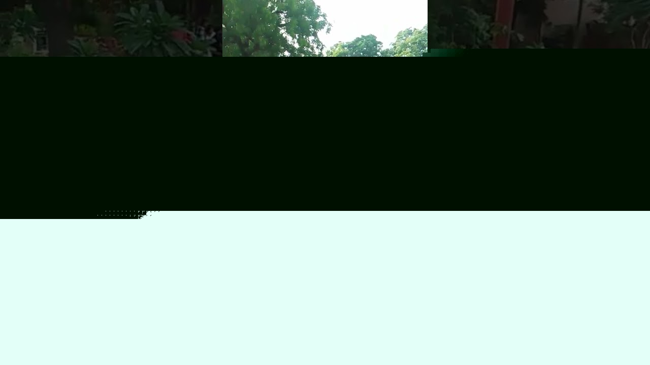 the happy Day#blog #travel #love #viral #shortsvideo #🙏🙏🙏🙏👌