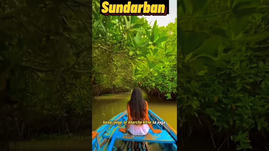 Sundarban budget tour and all information | Sundarban tour plan🤗 #shorts #travel #sundarban #tiger